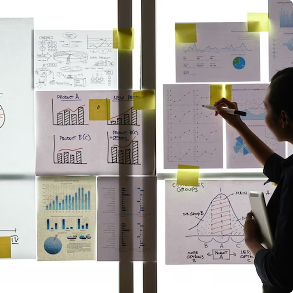 Project Management & Execution Oversight