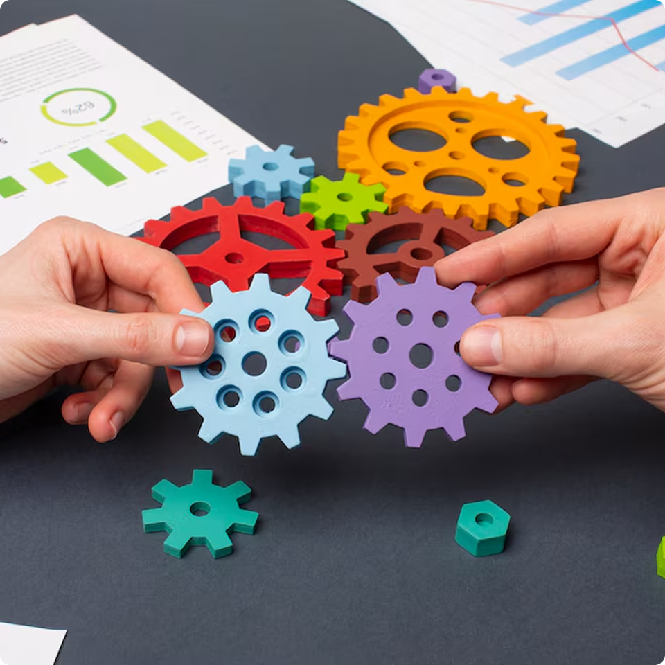 Project Management & Execution Oversight